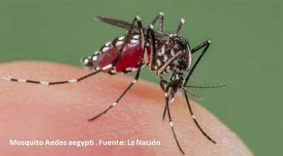 El virus Zika también produce daños visuales