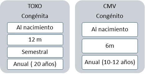 Novedades presentadas en el ámbito de la estrabología pediátrica