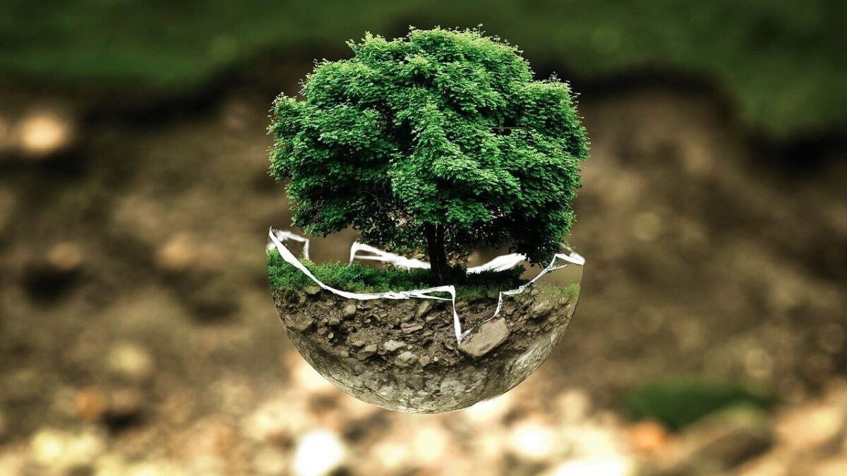 Día Mundial del Medio Ambiente 2022